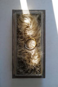 taupe D.Motoike DUOMO RING 15号 DUOMO Type10 – taupe D.Motoike展 – - 手記 ｜ 柿乃葉 / KAKINOHAHANARE